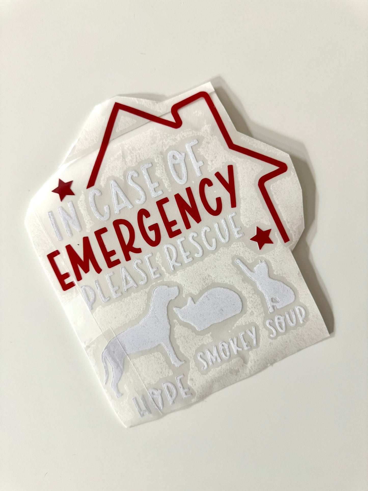 In Case of Emergency Vinyl Decal